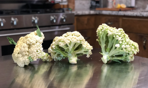 Fioretto, Delicate and Delicious
